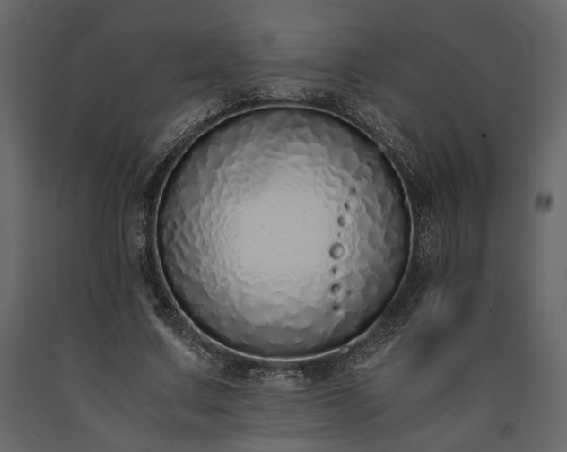 X0000091520683200708241650
