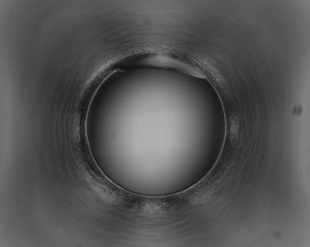 X0000091520684200708241650