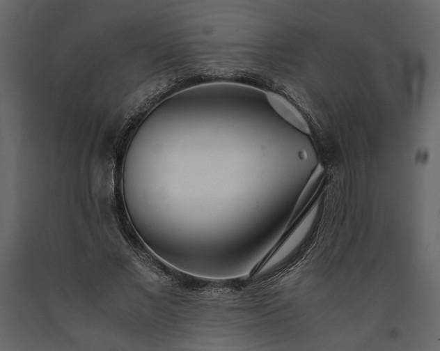 X0000091520685200708241650