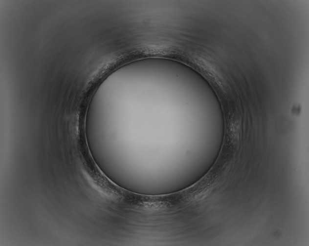 X0000091520686200708241650