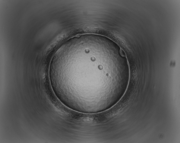 X0000091520687200708241650