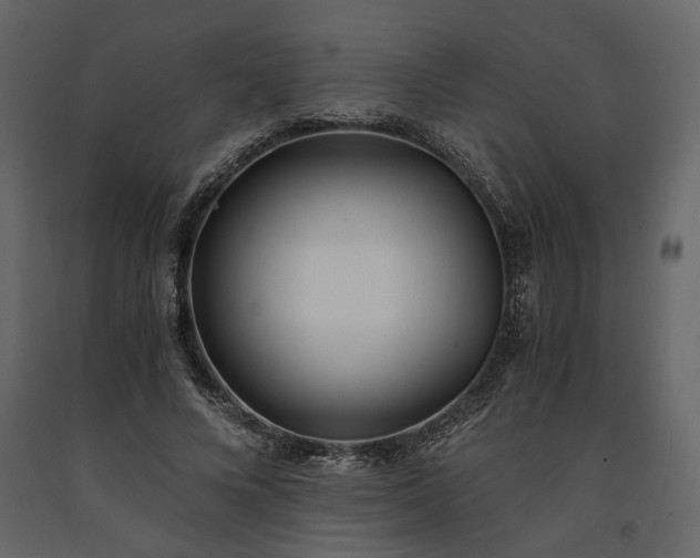 X0000091520688200708241650
