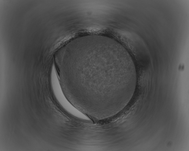X0000091520689200708241650