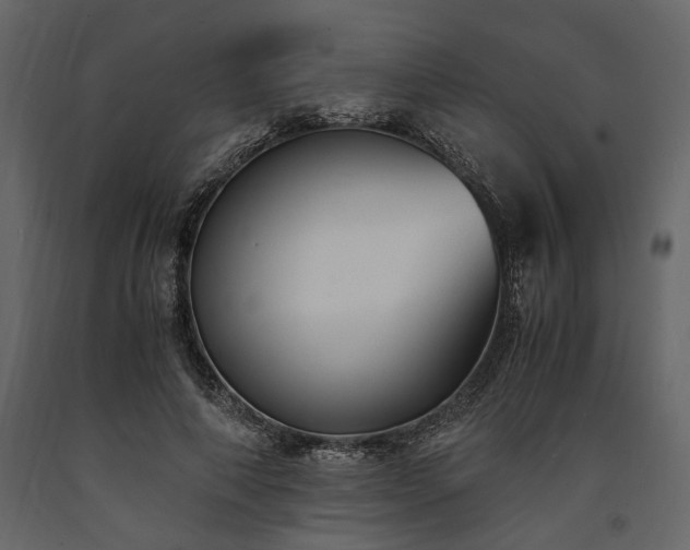 X0000091520690200708241650