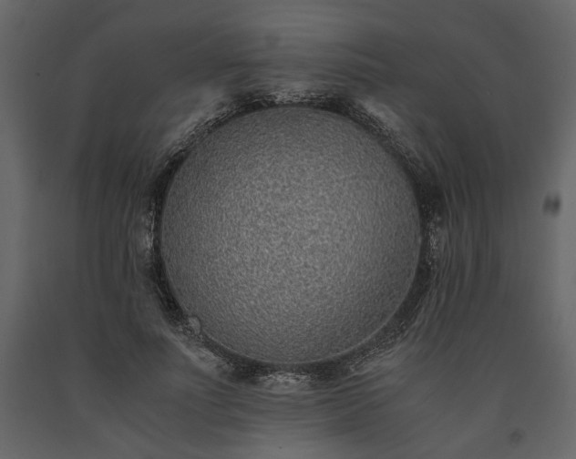 X0000091520691200708241650