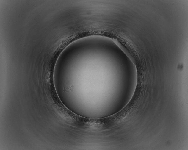 X0000091520693200708241650