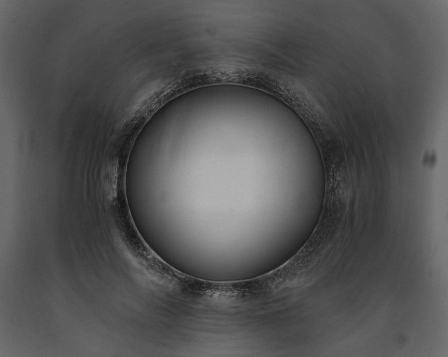 X0000091520694200708241650