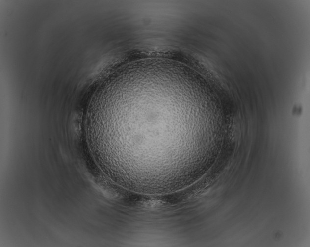 X0000091520695200708241650