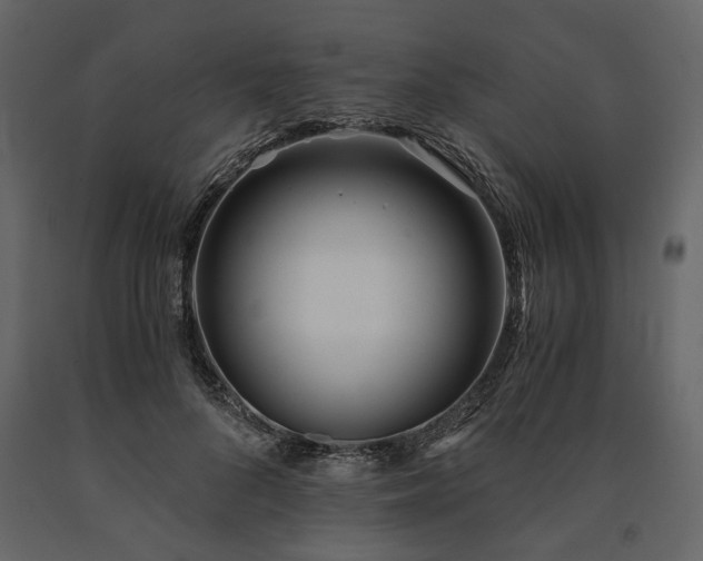 X0000091520696200708241650