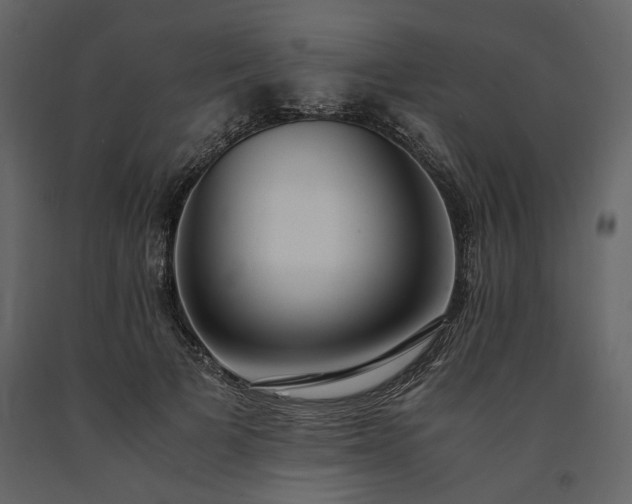 X0000091520697200708241650