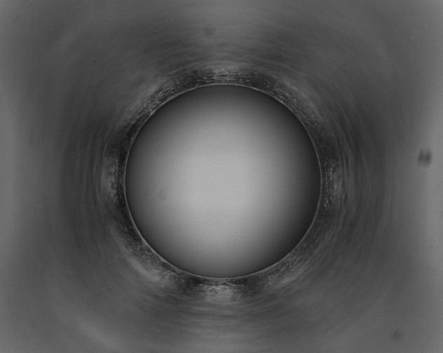 X0000091520698200708241650