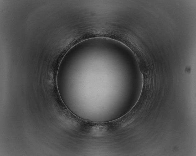 X0000091520700200708241650