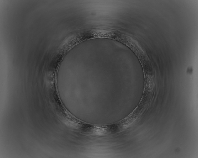 X0000091520701200708241650