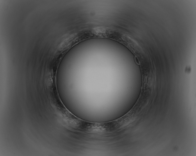 X0000091520702200708241650