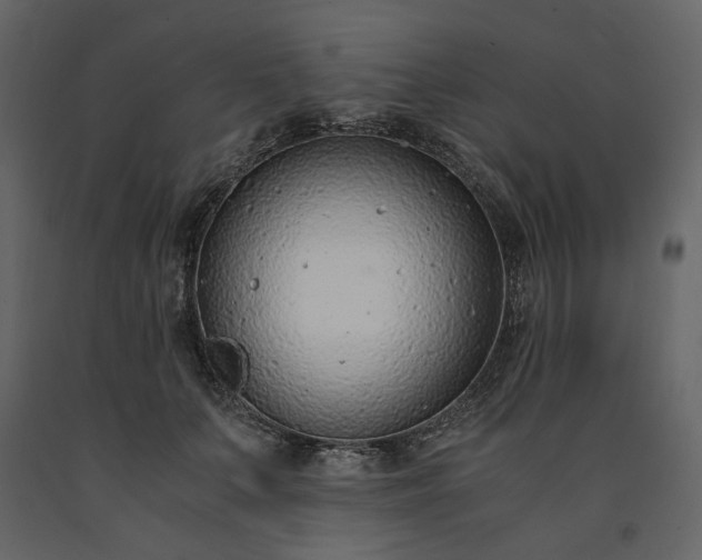 X0000091520703200708241650