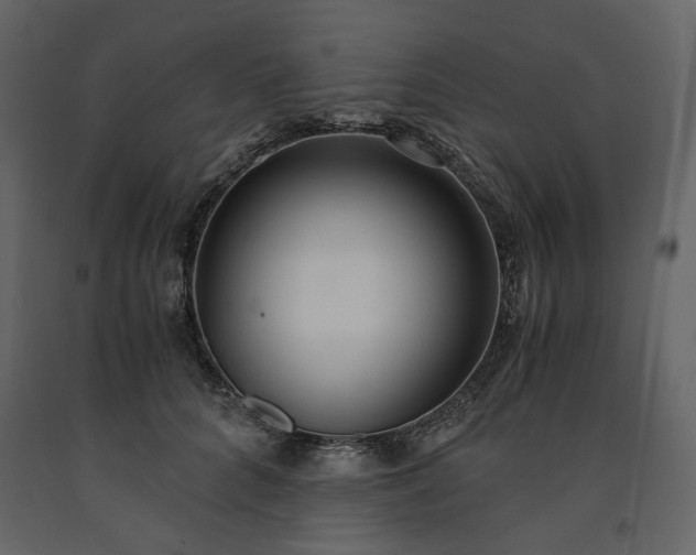 X0000091520704200708241650