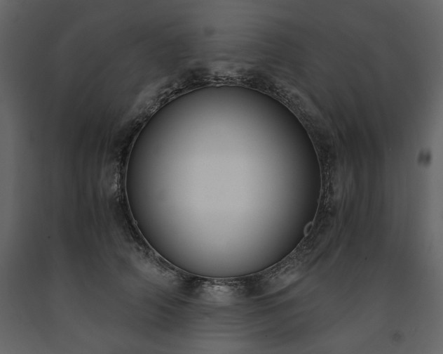 X0000091520706200708241650