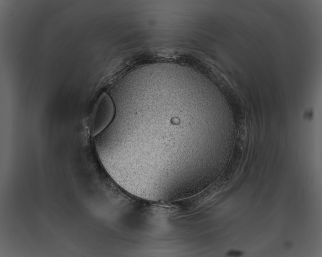 X0000091520707200708241650