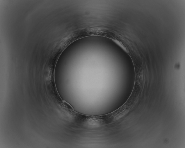 X0000091520708200708241650