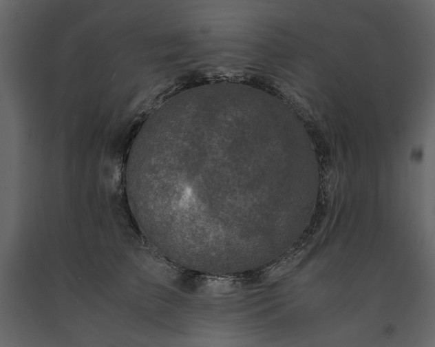 X0000091520709200708241650