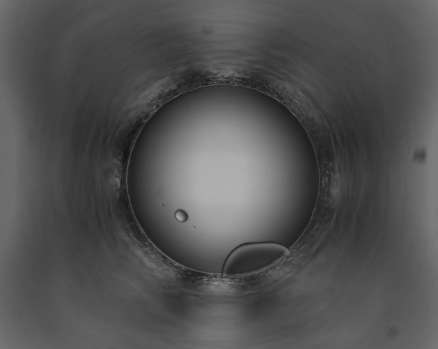 X0000091520710200708241650