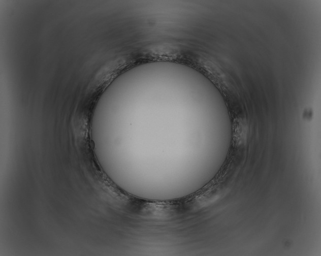 X0000091520713200708241650