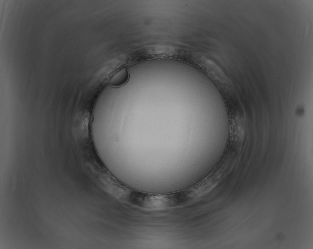 X0000091520717200708241650