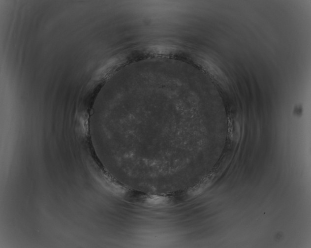 X0000091520718200708241650