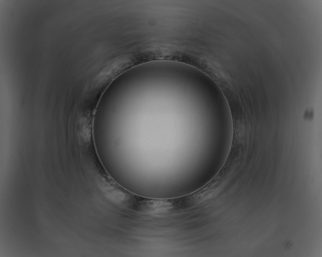 X0000091520719200708241650