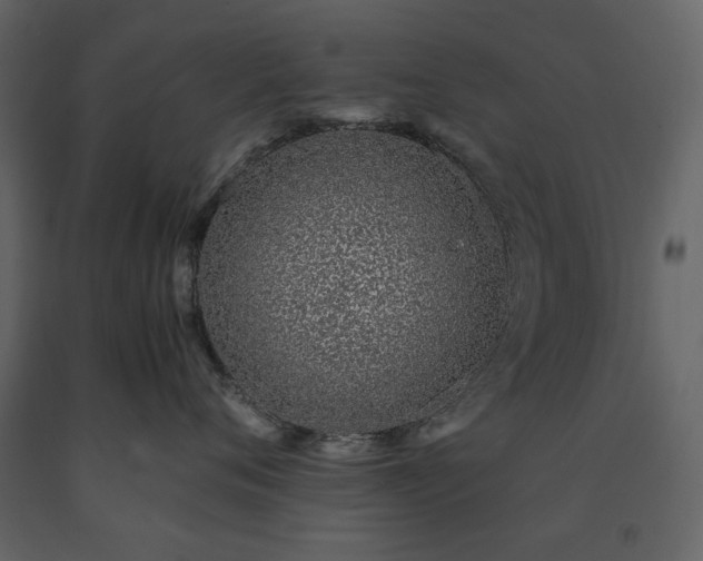 X0000091520720200708241650