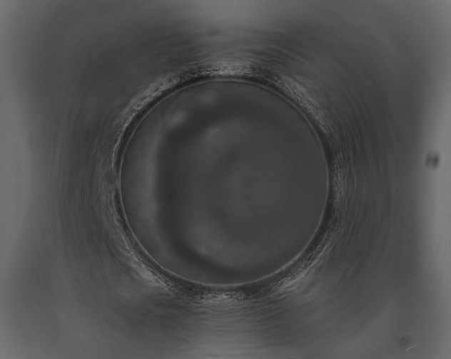 X0000091520721200708241649