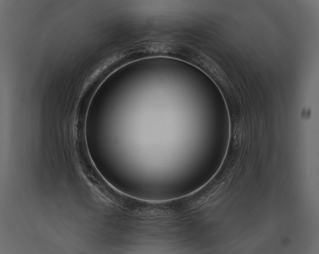 X0000091520722200708241649