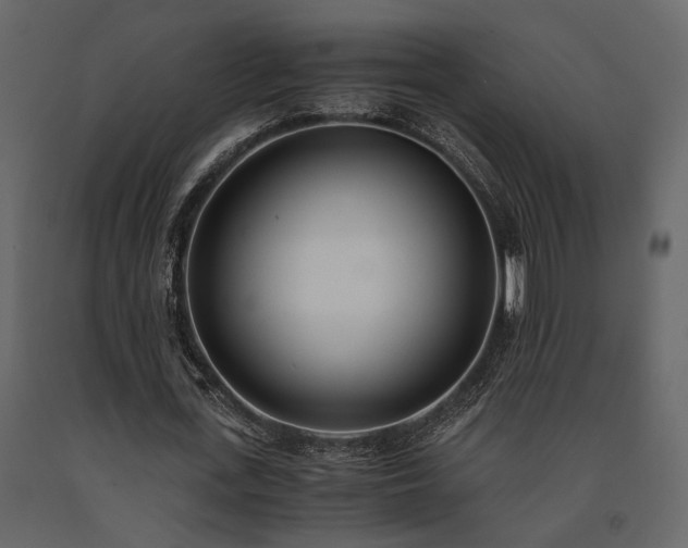 X0000091520723200708241649