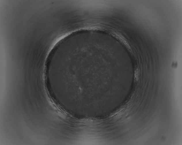 X0000091520724200708241649
