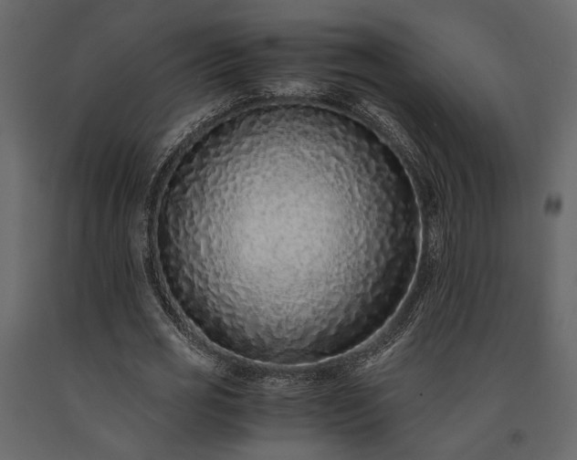 X0000091520725200708241649