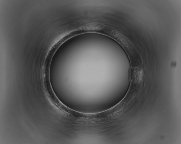 X0000091520726200708241649