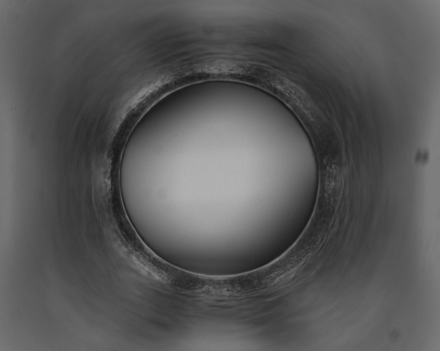 X0000091520727200708241649