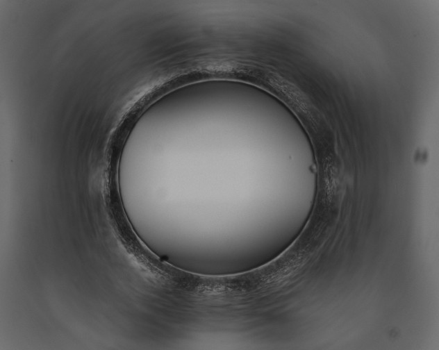 X0000091520728200708241649
