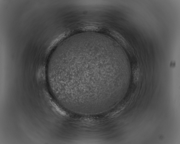 X0000091520729200708241649