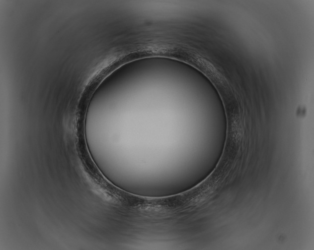 X0000091520730200708241649