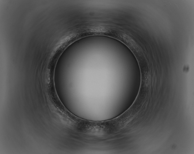 X0000091520731200708241649