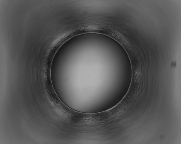 X0000091520732200708241649