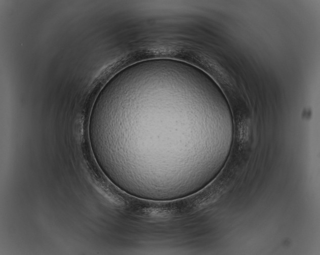 X0000091520733200708241649