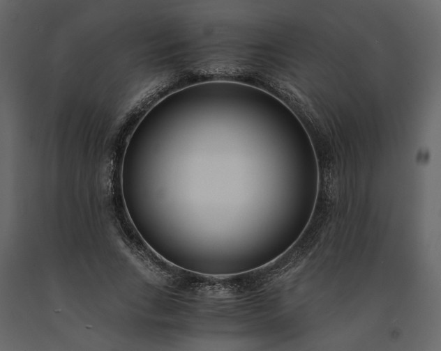 X0000091520735200708241649