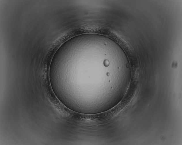 X0000091520737200708241649