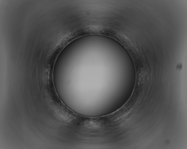 X0000091520739200708241649