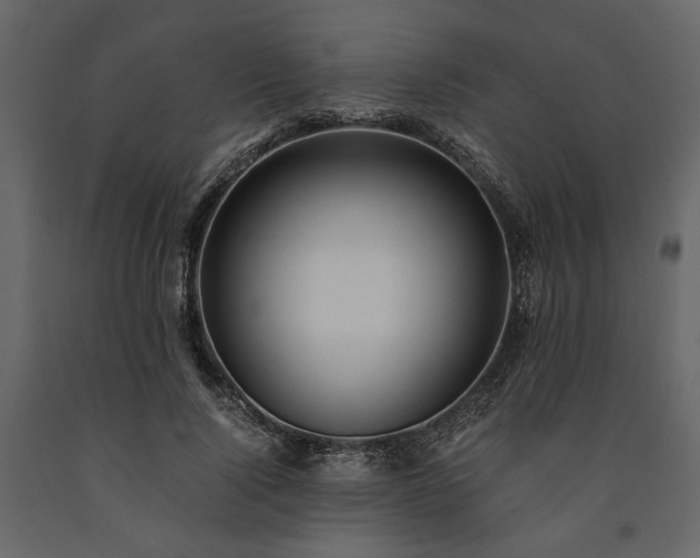 X0000091520740200708241649