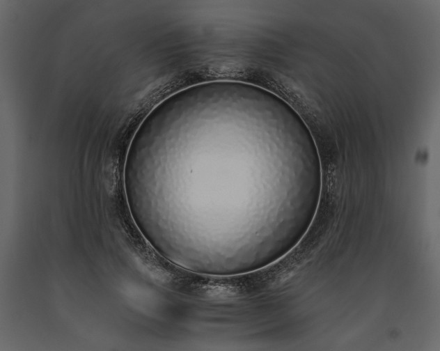 X0000091520741200708241649