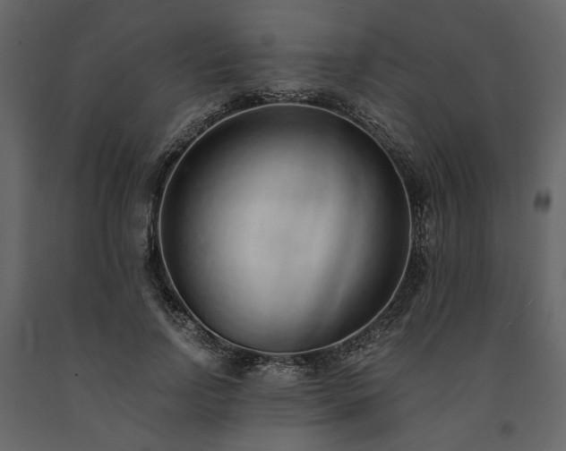 X0000091520742200708241649