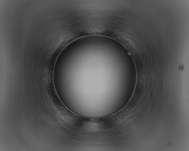 X0000091520743200708241649